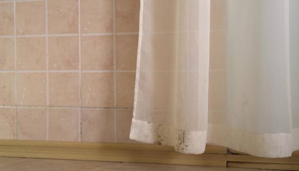 Best Real Estate Mold Inspection  in Skyline View, PA