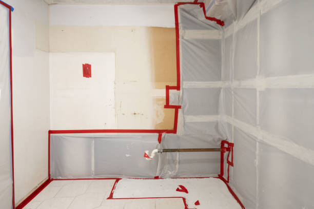 Best Air Quality Testing for Mold Spores  in Skyline View, PA