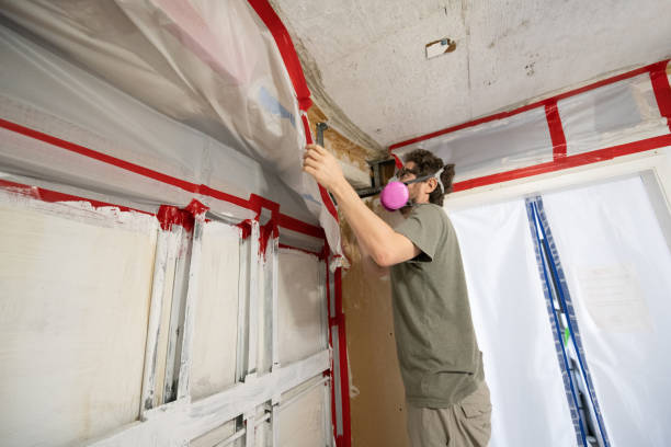  Skyline View, PA Mold Removal Pros