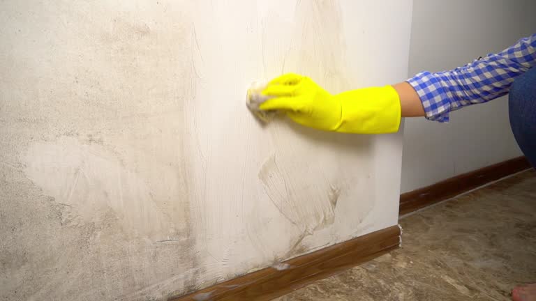 Best Mold Odor Removal Services  in Skyline View, PA