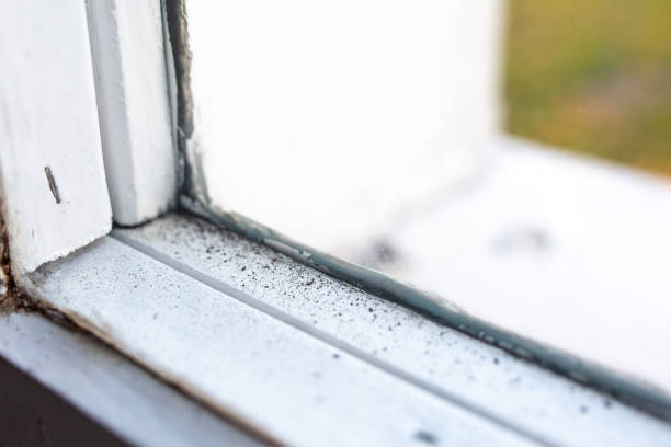 Best Mold Removal for HVAC Installations  in Skyline View, PA